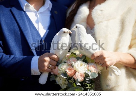 Two white doves in the hands of the bride and groom. It is a wedding tradition to release birds into the sky. A wedding or engagement.