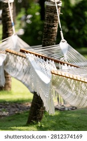 Two white hammocks hanging between palm trees in sunny Phu Quoc tropical garden setting