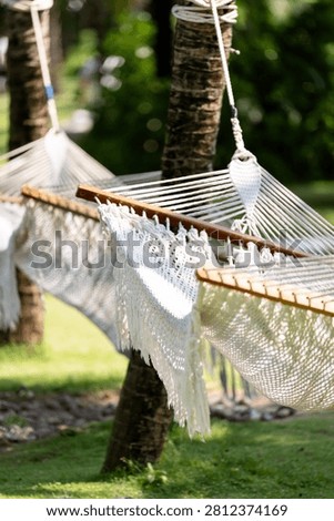 Two white hammocks hanging between palm trees in sunny Phu Quoc tropical garden setting