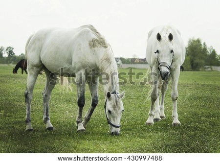 Similar – Image, Stock Photo Moldy Environment Nature