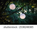 Two white lantern hanging in a tree on a beautiful summer evening. 