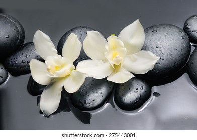 Two white orchid flowers with therapy stones 