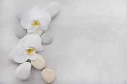 Two White Orchid With Pile Of Stones On Gray Background