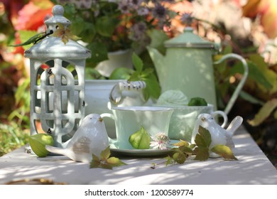 Bird Table Garden Images Stock Photos Vectors Shutterstock