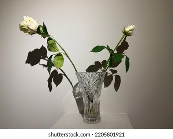 2,883 Roses Crystal Vase Images, Stock Photos & Vectors | Shutterstock