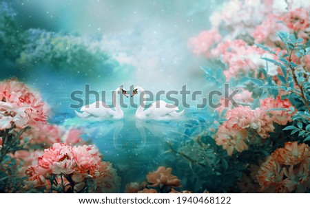 Two white swans couple swimming in lake, fantasy magical enchanted fairy tale landscape with elegant birds in love, fairytale blooming pink rose flower garden on mysterious blue background in night