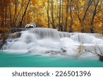 Two white tiger at Waterfall in deep rain forest jungle. (Huay Mae Kamin Waterfall in Kanchanaburi Province, Thailand)