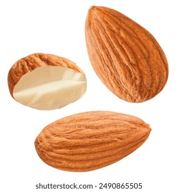 two whole brown peeled almonds, one broken almond half