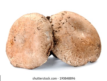 Two  Whole Portabella Mushroom On White 