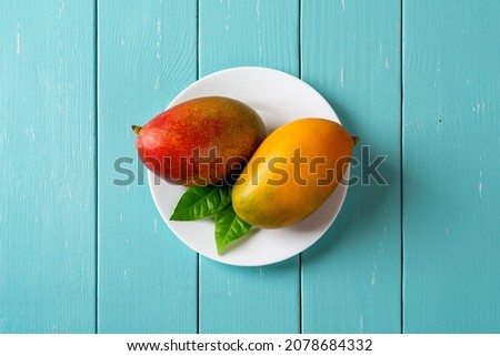 Two whole ripe Palmer mangoes on a white plate over turquoise wooden table. Ready to eat red and yellow sweet tasty mango. Mangifera Indica delicious tropical fruits close-up. Top view.