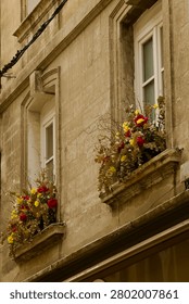 Two windows with flower boxes 
