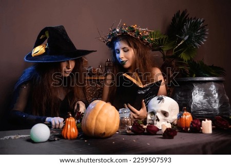 Two witches sit at a table with pumpkins, a skull, herbs and a cauldron, coven concept, halloween celebration.