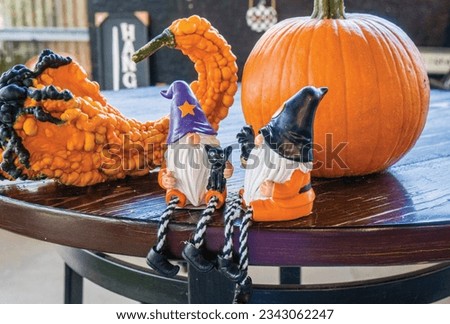 Two wizard shelf sitters, with dangling legs,  had a friendly chat at the table,  each had a pet cat and a raven