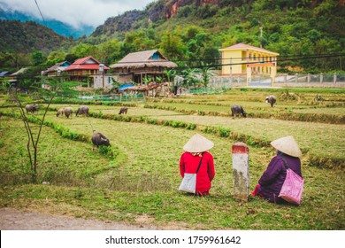 ベトナム人 の画像 写真素材 ベクター画像 Shutterstock