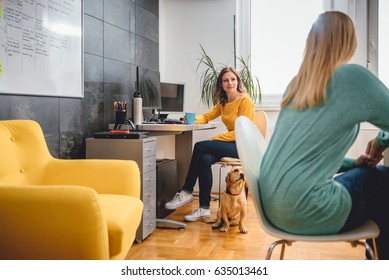 Two Woman Sitting At The Desk And Talking In The Office And Small Yellow Dog Is Siting On The Floor