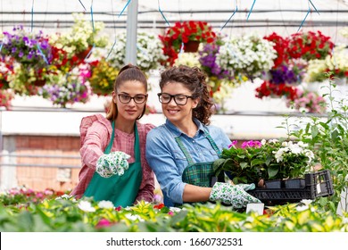 Two Woman Work In Nursery Plant With Differnt Types Of Flowers