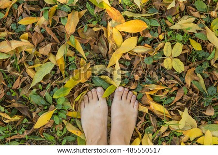 Two woman's bare feet stepping on dry yellow leaves.