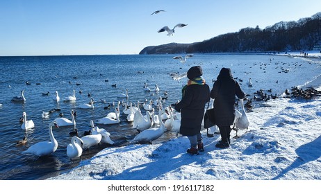 Two women feeding wild birds in winter on the beach. - Powered by Shutterstock