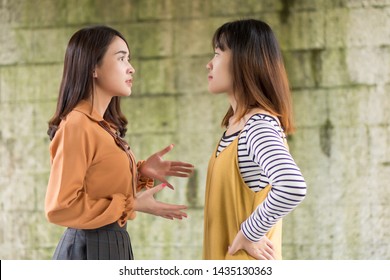 Two Women Having Conflict, Arguing Each Other