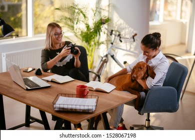 Two women in office playing with dog - Powered by Shutterstock