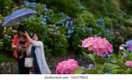 Two Women Put Up A Umbrella To Shelter From The Unexpected Rain In Hyderabad Flower Garden.