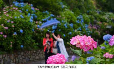 Two Women Put Up A Umbrella To Shelter From The Unexpected Rain In Hyderabad Flower Garden.