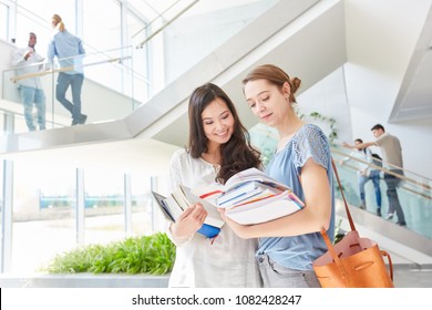 Two Women As Students In University Study Together In Teamwork