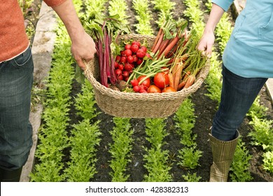 Agriculture Biologique Images Stock Photos Vectors Shutterstock