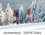 Two women walk in snowshoes in the snow, winter trekking, two people in the mountains in winter, hiking equipment