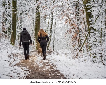 Two women walking with a dog through the snowy Teutoburg Forest - Powered by Shutterstock