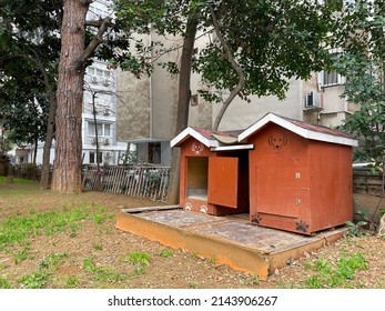 Two Wooden Red Dog Houses On An Apartment Backyard, Empty Kennels On A Garden