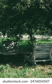 Two wooden sofas and two wooden tables under the branches of apple trees. There is a green apple on the table. In the background there is green grass and a white fence.