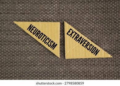 Two words Neuroticism and extraversion. each correlate to many types of risky behavior. Neuroticism is positively correlated to impulsive antisociality, a predictor of violent behavior