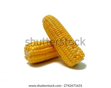 Two yellow corn cobs are positioned on a plain white background. 