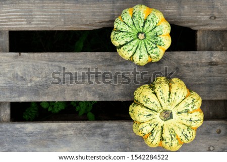 two yellow glowing pumpkins lie on wooden slats as background