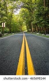 Two yellow lines