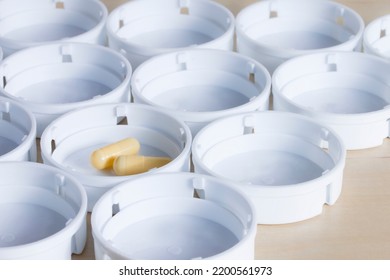 Two Yellow Pill Capsules Among A Formation Of White Prescription Bottle Caps Arranged On A Wooden Surface. Closeup, Shallow Depth Of Field.