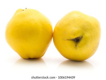 Two yellow quinces isolated on white background raw ripe