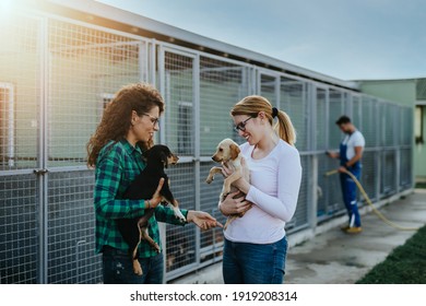 Two young adult women adopting beautiful dogs at animal shelter.