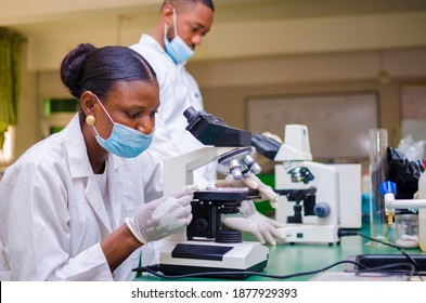 two young african health care researchers working in life science laboratory about the cure of the outbreak in the society.