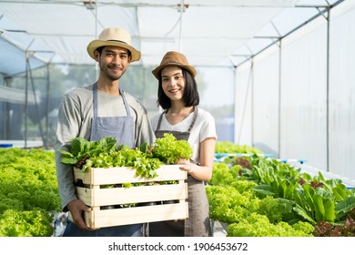 Two Young Asian Couple Farmers Working In Vegetables Hydroponic Farm With Happiness. Portrait Of Man And Woman Farmer Carrying Box Of Green Salads Looking At Camera With Smile In The Green House Farm.