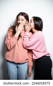 Two young attractive brunette girls in pink sweaters embracing each other, having fun, telling the gossips to each other, smiling, looking at the camera, white background - Shutterstock ID 2246018373