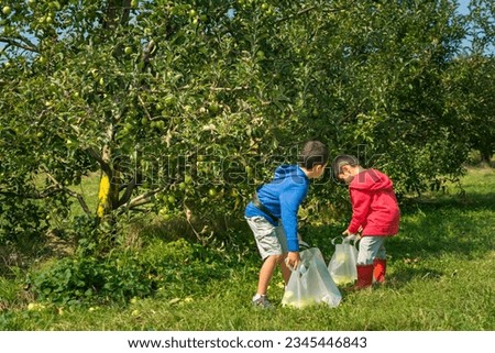 Two young boys picking apples at orchard in fall.