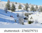Two young boys pull their sleds back up a snowy hill behind a residential community in suburban Spokane, Washington State at winter.