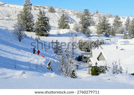 Two young boys pull their sleds back up a snowy hill behind a residential community in suburban Spokane, Washington State at winter.