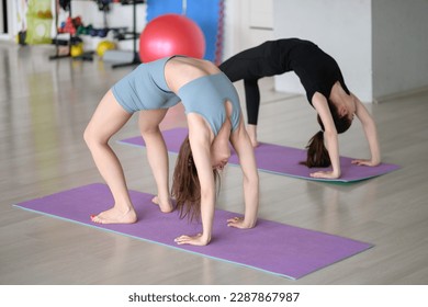 Two young caucasian women in sportswear do stretching in the gym, a bridge on outstretched arms. The concept of a healthy lifestyle, pilates, sports, spine flexibility,recovery after pregnancy. - Powered by Shutterstock