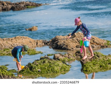 Two young children, a boy and a girl, playing in the tide pools by the ocean looking for interesting treasures - Powered by Shutterstock