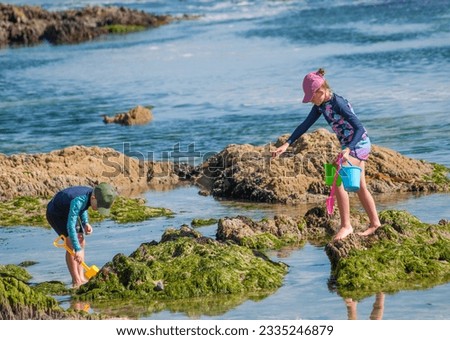 Two young children, a boy and a girl, playing in the tide pools by the ocean looking for interesting treasures