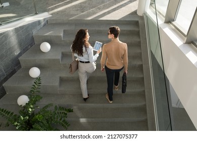Two young confident managers of high tech company having discussion of working points and online data while going upstairs
