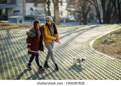 A Two Young Female Friends Walking With Their Pet Shih Tzu Dog At The City Park.